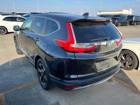 2019 Honda CR-V - Thumbnail