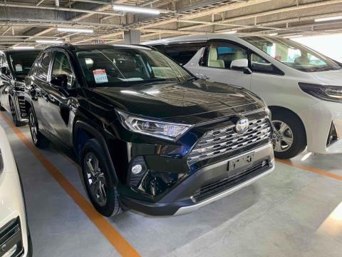 2019 Toyota RAV4